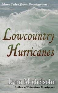 Lowcountry Hurricanes book cover